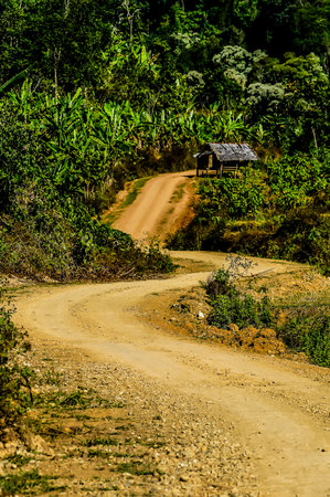 beautiful photo digital pictureの写真素材