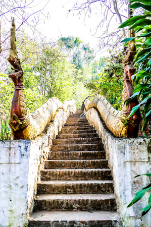 stairs in garden, beautiful photo digital pictureの写真素材