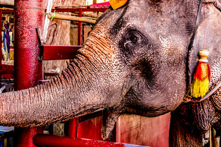 Beautiful photo picture taken in Thailand, Southeast Asiaの写真素材