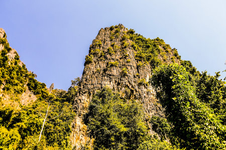 tree in mountains, beautiful photo digital pictureの写真素材