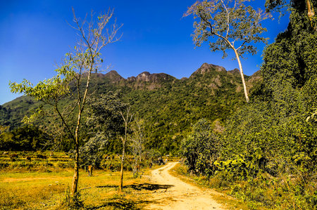 road in forest, beautiful photoの写真素材