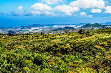 Spring Landscape in Tenerife Canary Island Spainの写真素材