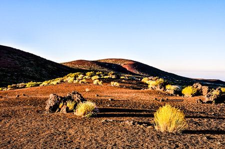 Sunset Desert Landscape in Tenerife Canary Island Spainの写真素材