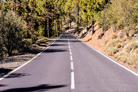 Long Empty Desert Asphalt Road in Tenerife Canary Islands Spainの写真素材
