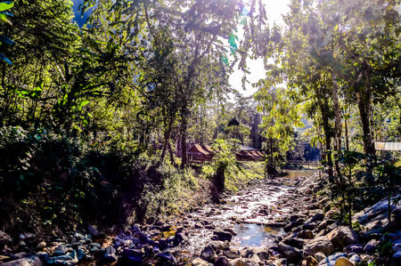 stream in forest, beautiful photo digital pictureの写真素材