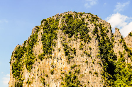 tree in mountains, beautiful photo digital pictureの写真素材