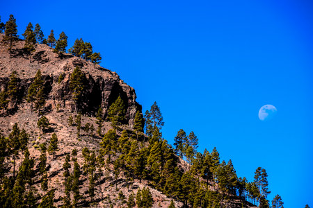 Big Moon in Gran Canaria, Canary Islands, Spainの写真素材
