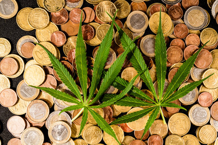 Picture of Marijuana and Money Cannabis Business Conceptの写真素材