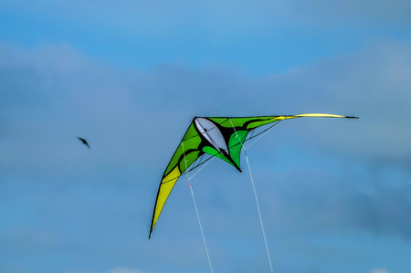 A green and yellow kite is flying in the sky. The kite is shaped like a bird and is soaring high above the clouds. The sky is clear and blue, providing the perfect backdrop for the kite's flightの写真素材