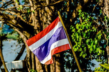 A red, white, and blue flag is flying in the air and is surrounded by treesの写真素材
