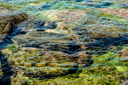 The water is clear and has a greenish tint. The rocks are scattered throughout the water, creating a peaceful and serene atmosphereの写真素材