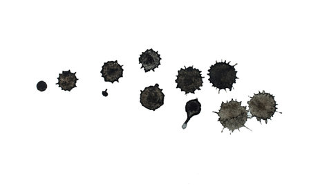 blots