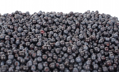 Blueberry backgrondの写真素材