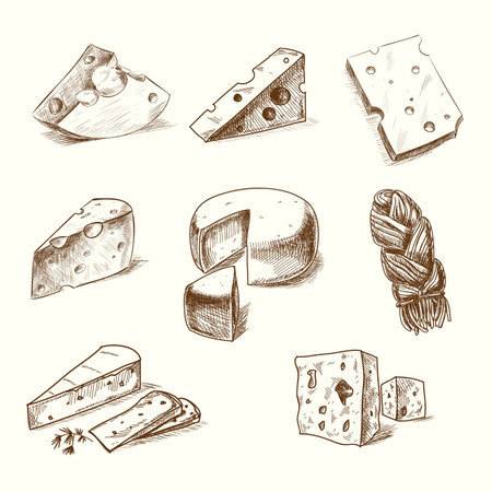 Hand drawn doodle sketch cheese with different types of cheeses in retro style stylized.