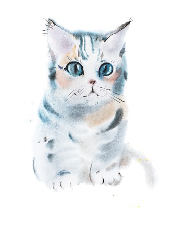 hand drawn watercolor painting of cute gray curious staring kitten, sitting pussycat aquarelle drawingの写真素材