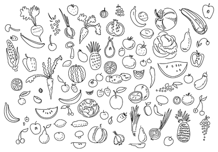 Hand drawn vegetables doodle sketch on whiteのイラスト素材