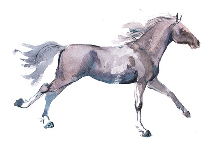 watercolor drawing of jogging horse, young mustang doing dogtrot aquarelle painting.の写真素材
