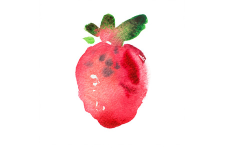 Red berry strawberry Hand painted watercolor illustration.の写真素材