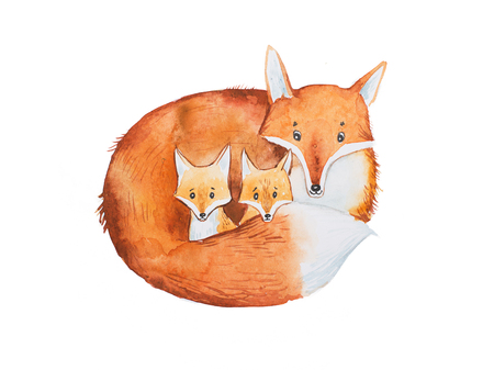 Drawing of cute fox family, mother and two fox-cubsの写真素材