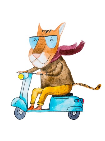 Watercolor drawing of cartoon tiger wearing trendy hipster clothes riding a motorbike isolated on white backgroundの写真素材