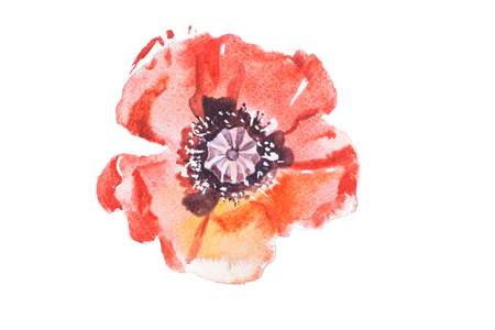 Watercolor drawing of fresh flowers aquarelle paintingの写真素材