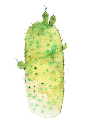 Watercolor hand drawn spiky cactus bloom flowerの写真素材