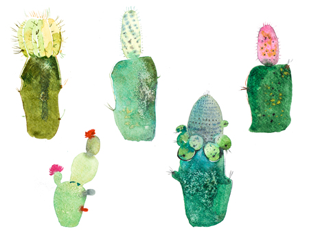 Watercolor hand drawn spiky cactus bloom flower.の写真素材