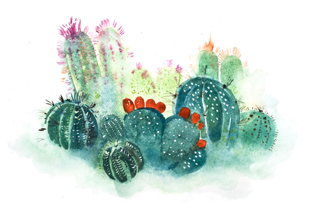 Watercolor hand drawn spiky cactus bloom flower.の写真素材