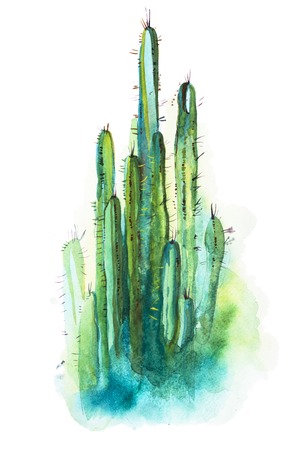 Watercolor hand drawn spiky cactus isolated on whiteの写真素材