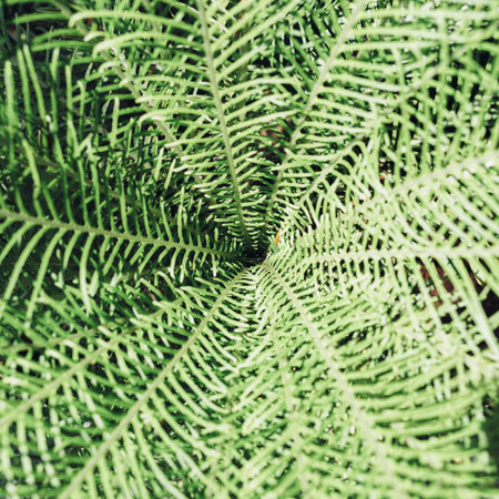 Green leaves background. Natural tropical background nature forest jungle foliage.