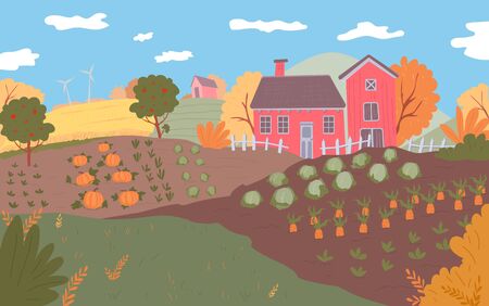 Autumn farm landscape. Field crops, nature harvest seasonのイラスト素材