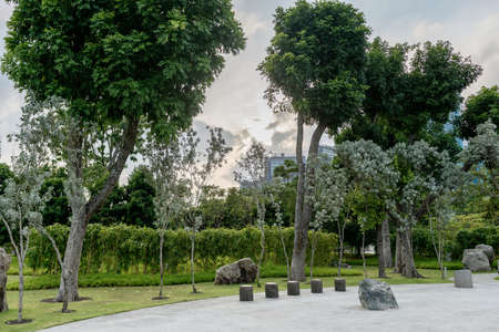 City park with trees, trimmed bushes. Landscape design.の写真素材