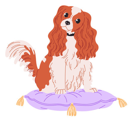 Dog Cavalier King Charles Spaniel sits on pillowのイラスト素材