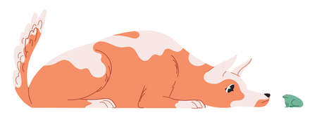 The dog lies and watches, sniffing the frogのイラスト素材