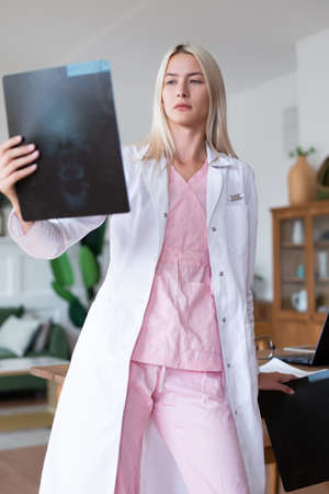 Female doctor looks at X-ray scan in officeの写真素材