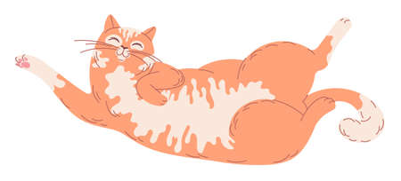 Satisfied ginger cat lies on his back upside downのイラスト素材