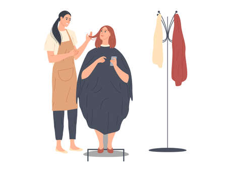 Woman discussing hairstyling with her hairdresser in the hairdressing salonのイラスト素材