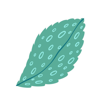 Mint on white background vector illustrationのイラスト素材