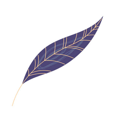 Autumn leaf on white background.のイラスト素材