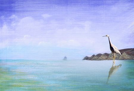 Section of painting - Cape Kidnappers    の写真素材