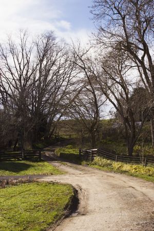 Farm road in winter, Hawke's Bay, New Zealandの写真素材
