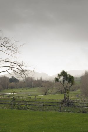A rainy winters day in Wanstead, Hawke's Bay, New Zealandの写真素材