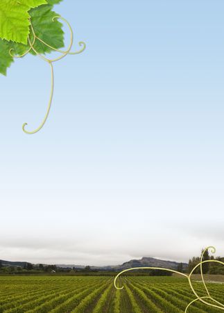 Vineyard theme border - A4 with 7mm trimsの写真素材