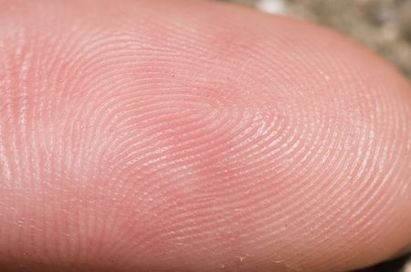 A macro shot of a fingerprint showing all the ridges and dentsの写真素材