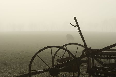 A cow stands in a bare field on a foggy morning with old farm machinery in the foreground. Haumoana, Hawke's Bay, New Zealand.の写真素材