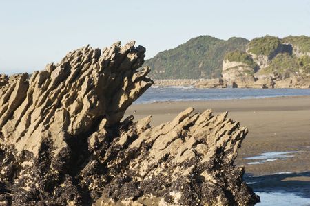 A mussel laden rock at Golden Bay, Nelson, New Zealandの写真素材