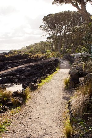 A shell path winds around the edge of Rangitoto Island in the Hauraki Gulf of New Zealand. Prisoners from Mount Eden Prison in Auckland built the roads and paths on Rangitoto Island.の写真素材