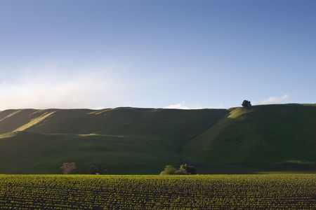 Farmlands and hills in rural Hawke's Bay, New Zealandの写真素材