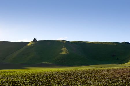 Farmlands and rolling hills in rural Hawke's Bay, New Zealandの写真素材