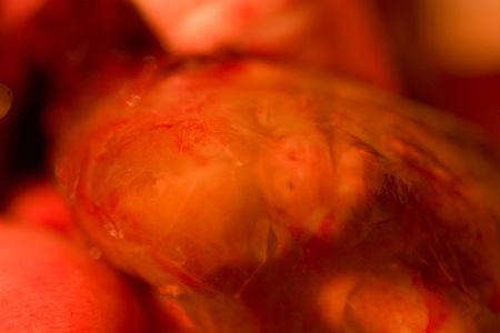 A shot of our premature stillborn son just after giving birth to him at home. I understand this image may not be agreeable to some but as an artist, photographer and father I find it captivating.の写真素材